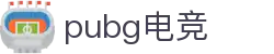 pubg电竞官网-PUBGESPORTS